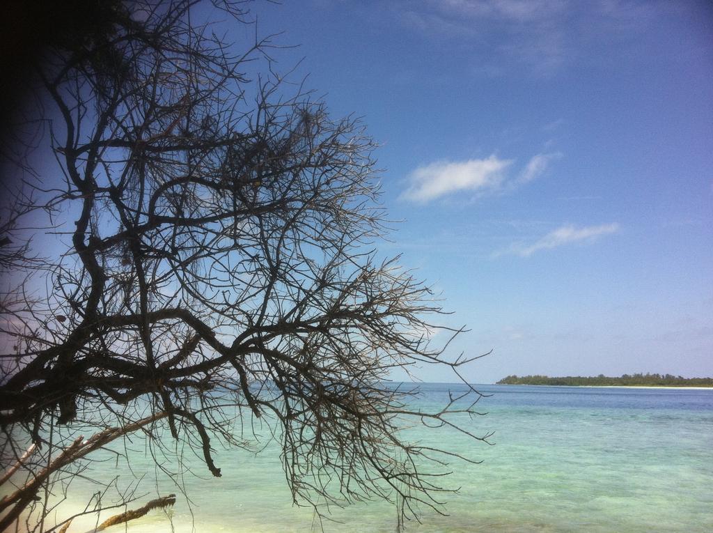 Hotel Mulah Surf Camp Muli Exterior foto